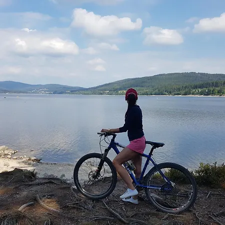 Schluchseeblick Appartement Schluchsee