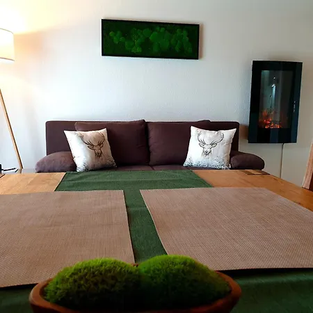 Schluchseeblick * 슈룩흐제